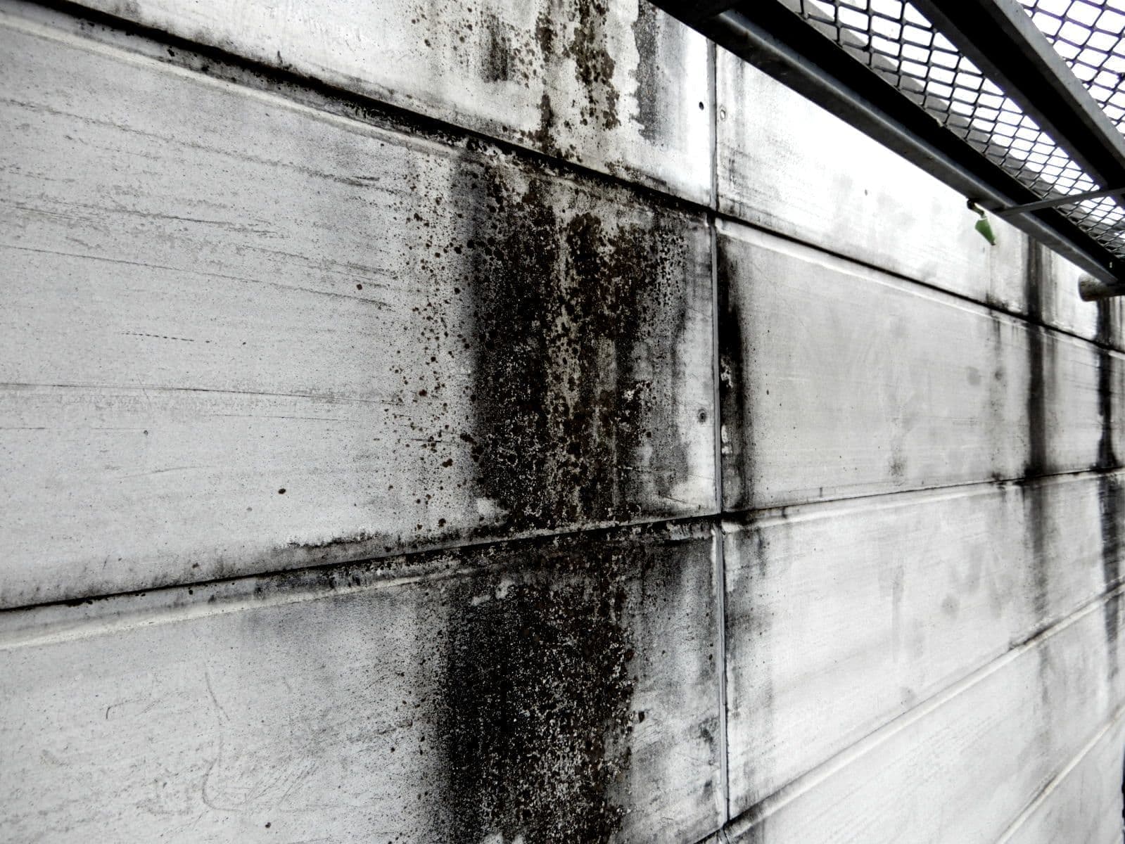 壁の汚れ　コケ　カビ　越谷　みやび